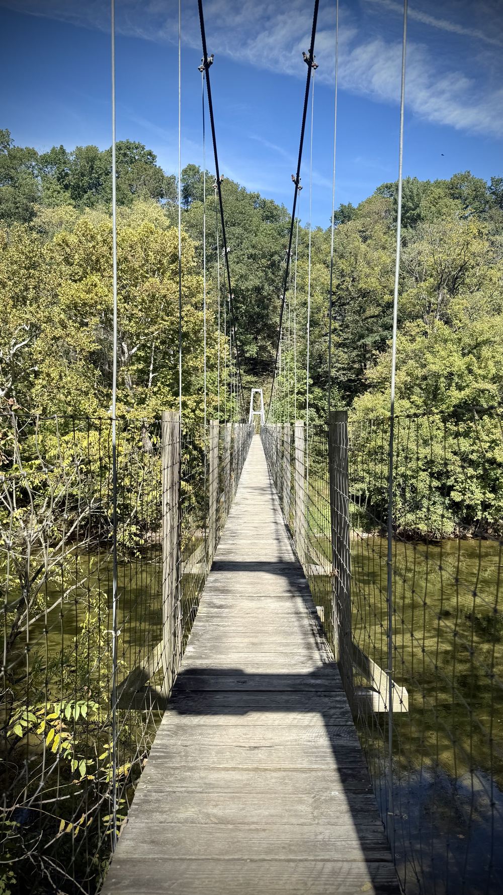 Swinging footbridge through the woods