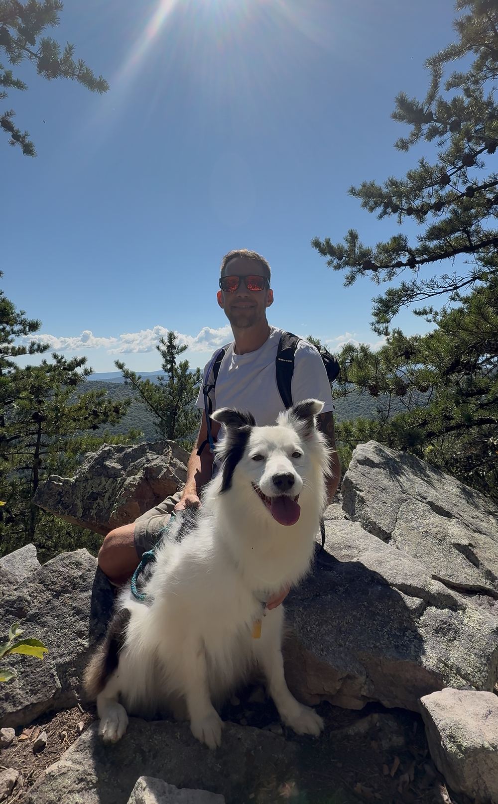 Hiker and dog at a mountain overlook