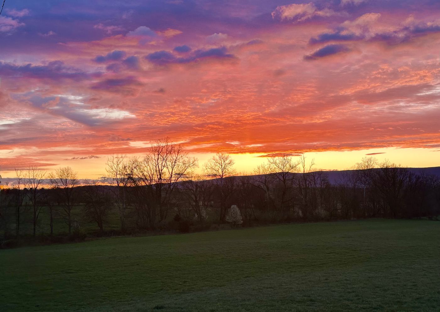 Sunset over the fields